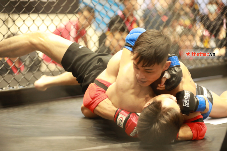 Link xem trực tiếp tứ kết giải MMA Việt Nam Lion Championship - Ảnh 2