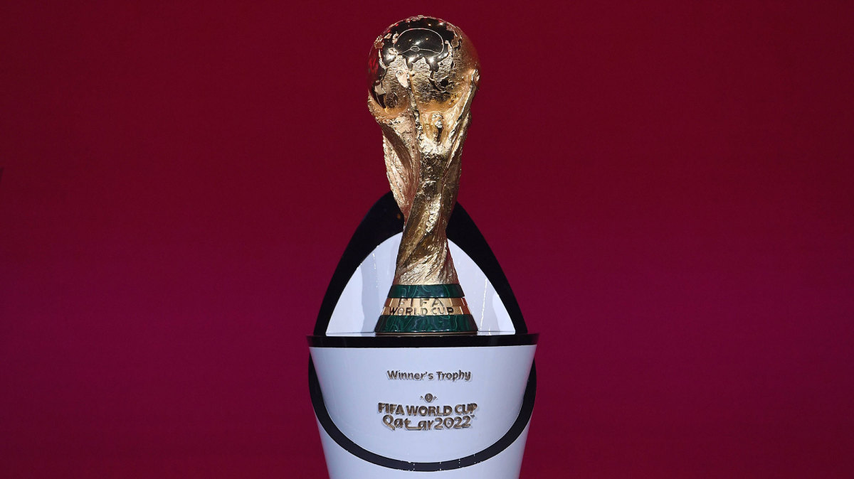 VTV bác tin sở hữu bản quyền truyền hình World Cup - Ảnh 2