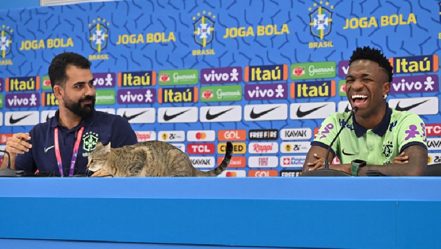 Vinicius bật cười vì… mèo tham dự buổi họp báo trước trận Croatia vs Brazil